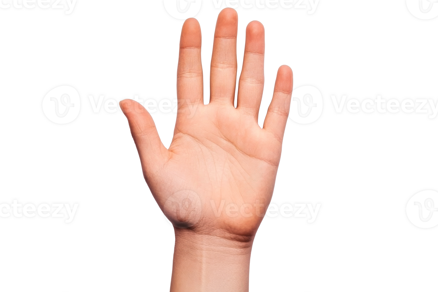 Human palm with outstretched fingers on background, cut out transparent png