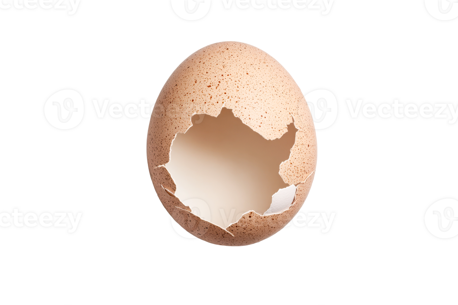 Cracked speckled eggshell fragment, empty hole inside, cut out transparent png
