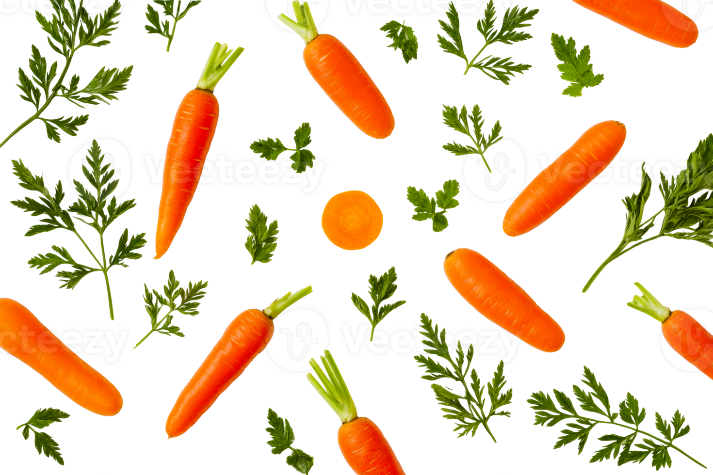 Carrots with leaves, fresh ripe vegetable, studio isolated, cut out transparent png