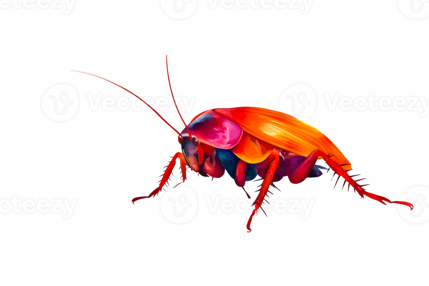 Colorful cockroach insect illustration on black background, cut out transparent png