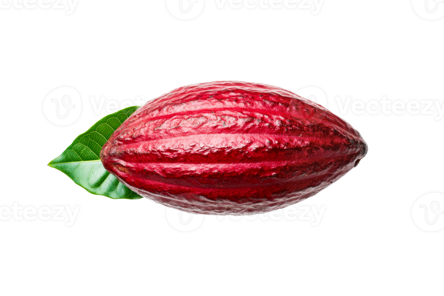 Red cacao pod with green leaf, chocolate ingredient, cut out transparent png