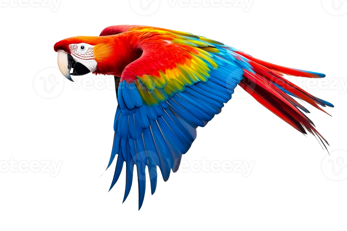 Scarlet macaw flying, bright plumage, vibrant colors, exotic bird, cut out transparent png