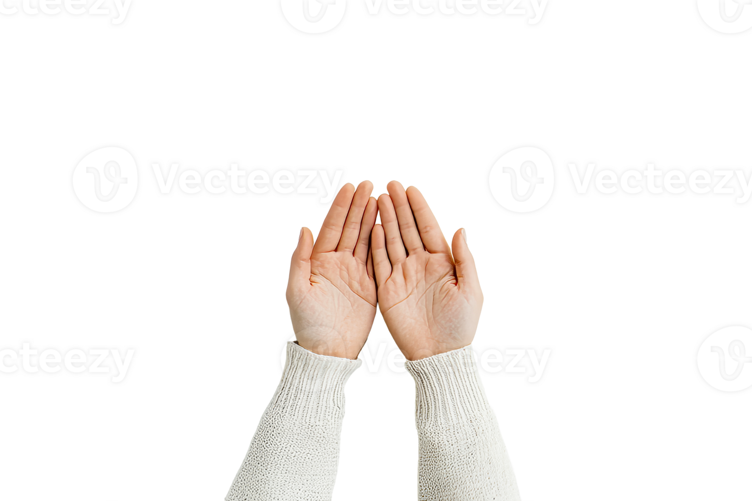 Female hands reaching up, open, empty gesture, white sweater, cut out transparent png