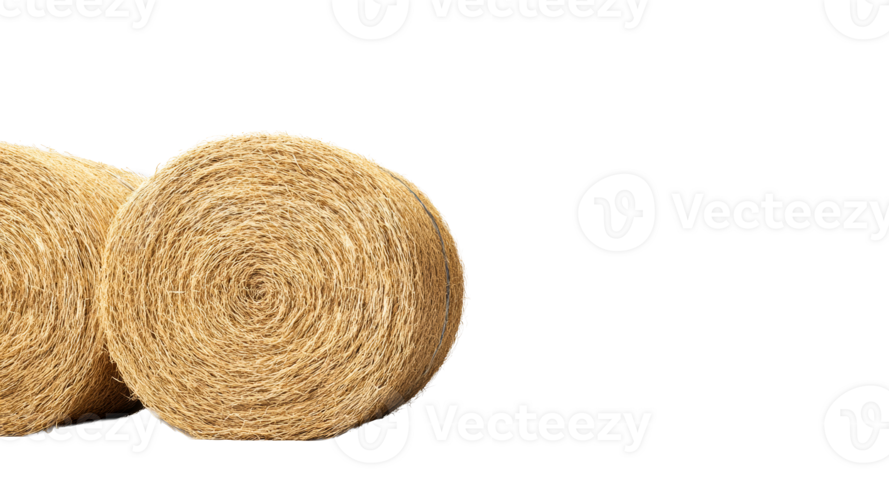 Round hay bales on black, crop farming, cut out transparent png