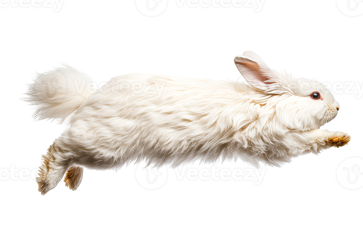 White rabbit mid-leap, fluffy fur, detailed rendering, cut out transparent png
