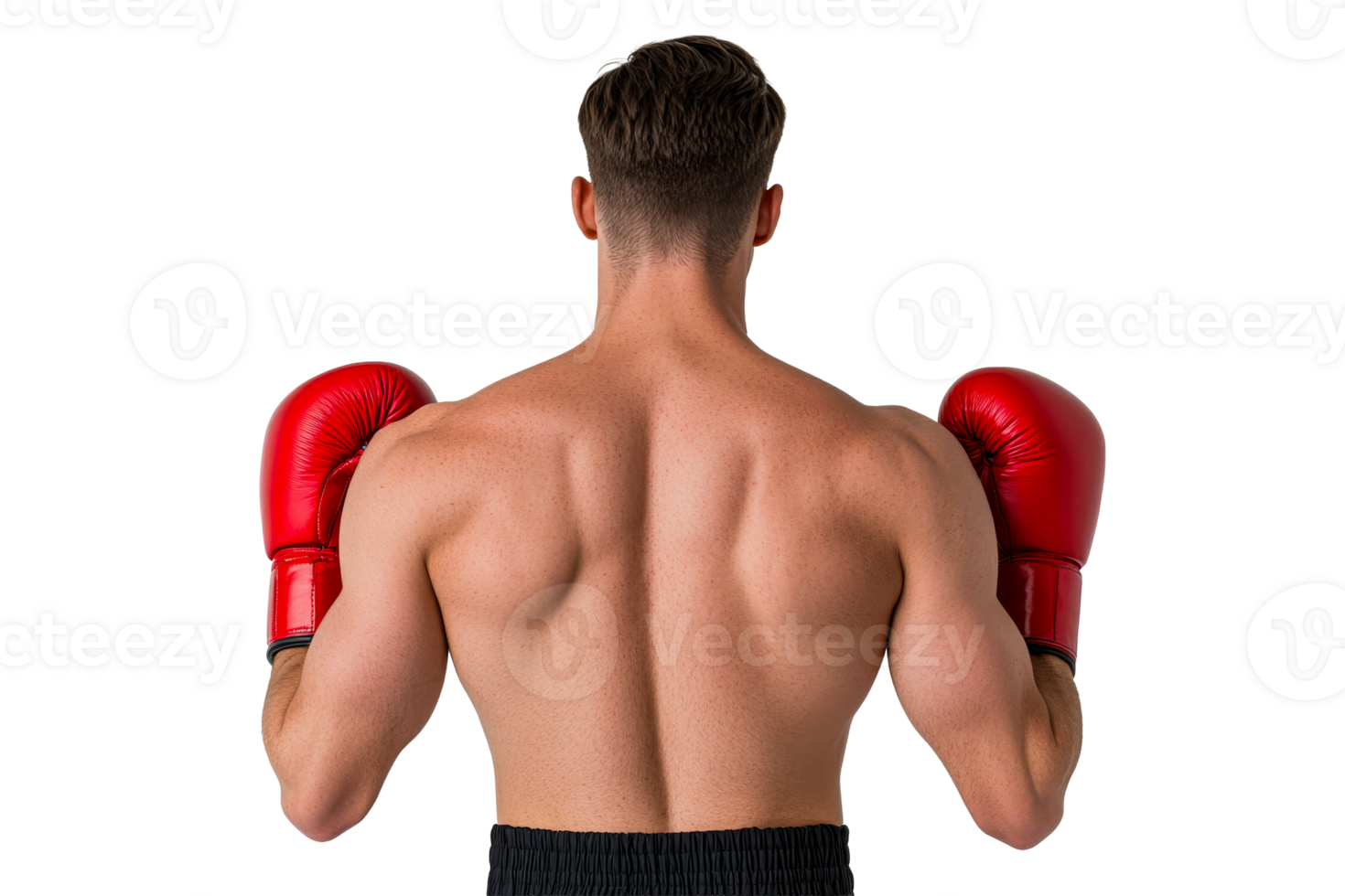Muscular boxer with red gloves, back view, strength, isolated, cut out transparent png