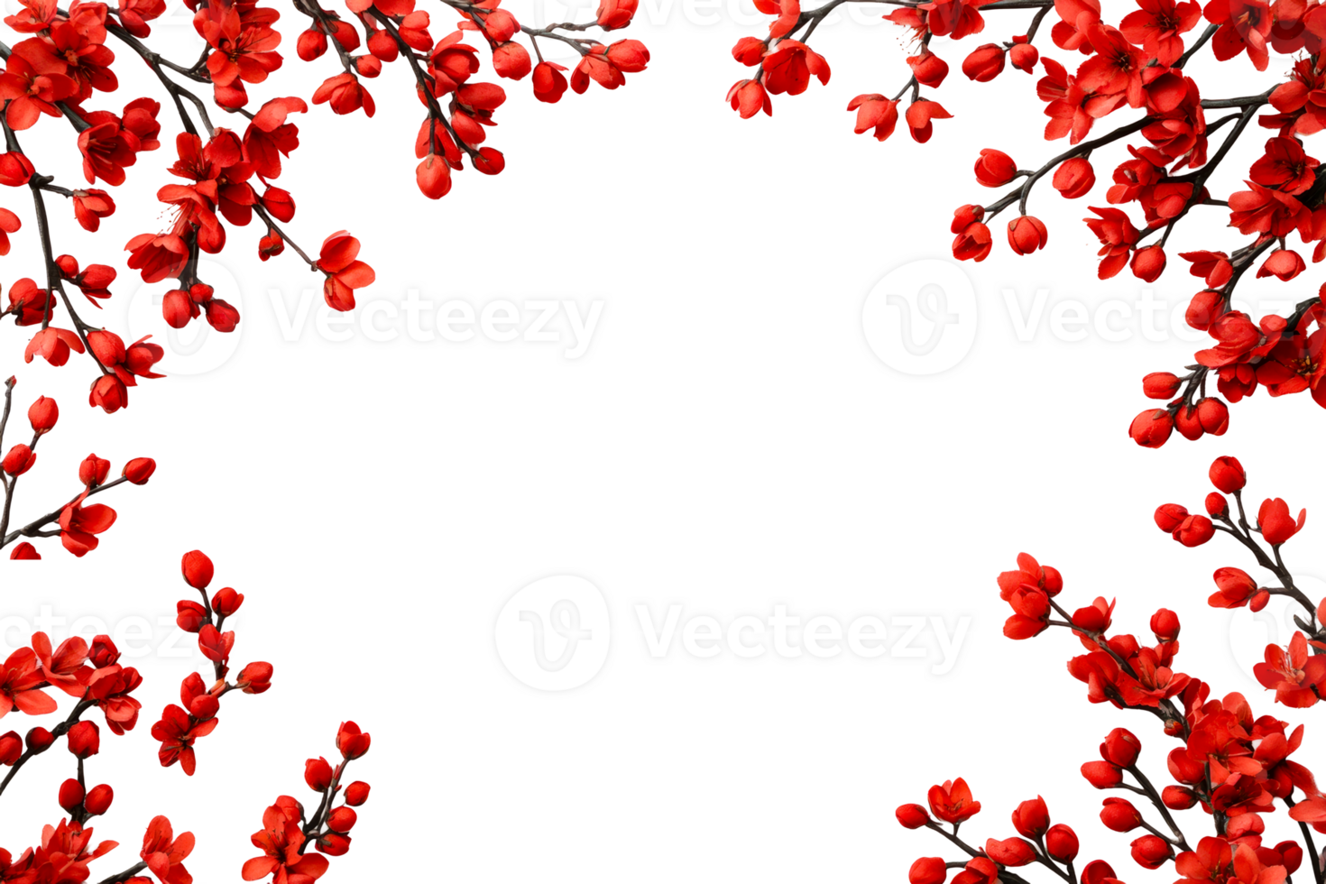 Red floral frame with branch, background for design, cut out transparent png