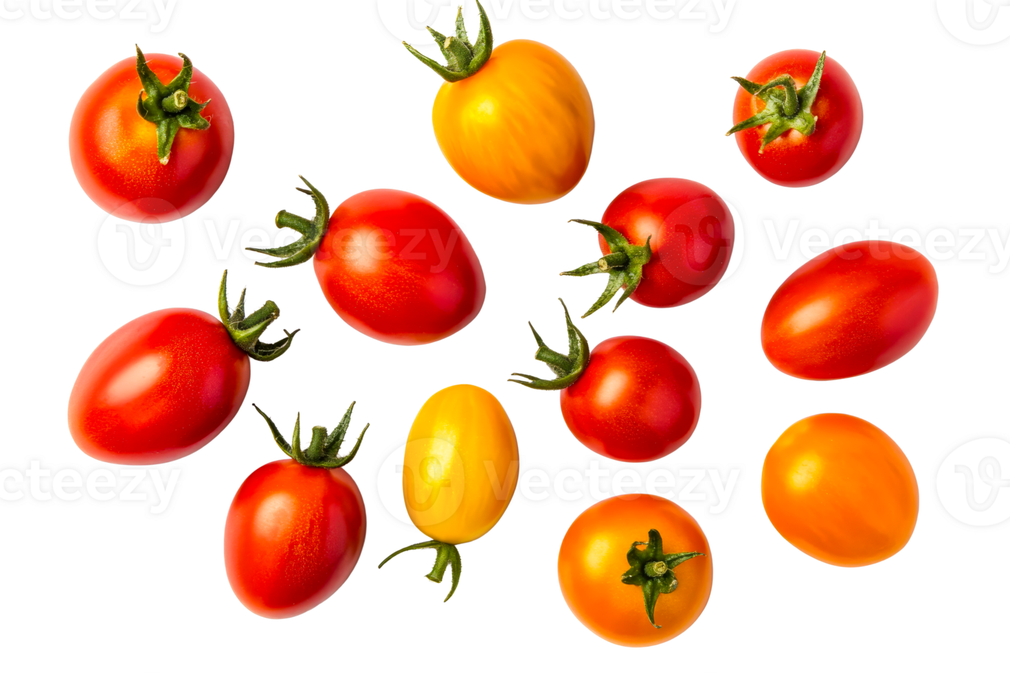 Colorful ripe tomatoes on dark background, cut out transparent png