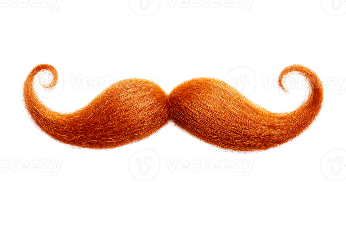 Red ginger mustache curly ends on a black background, cut out transparent png