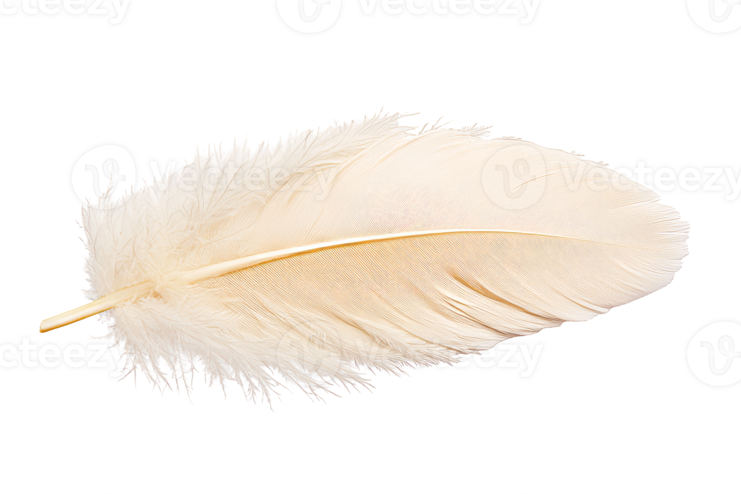 Gentle ivory feather floating on black background , cut out transparent png