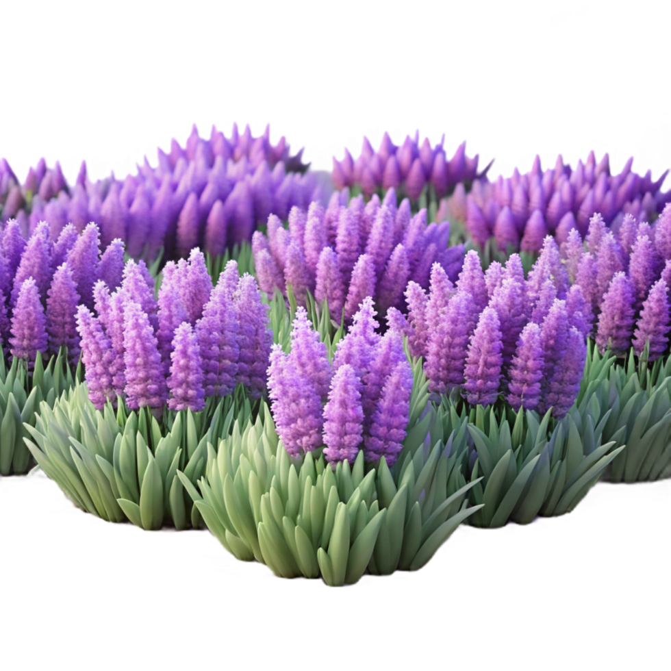 A field of lavender flowers, soft purple hues, impressionist painting style png