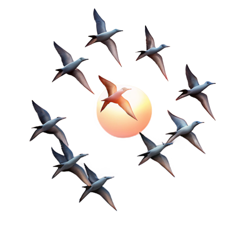 dramatic artistic A flock of birds flying in formation, sunset sky, serene and peaceful detailed png
