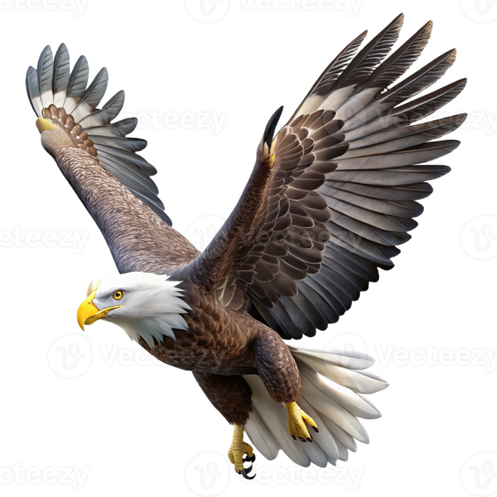 beautiful modern A majestic bald eagle soaring through the sky, its wings spread wide, in a powerful, realistic style professional png