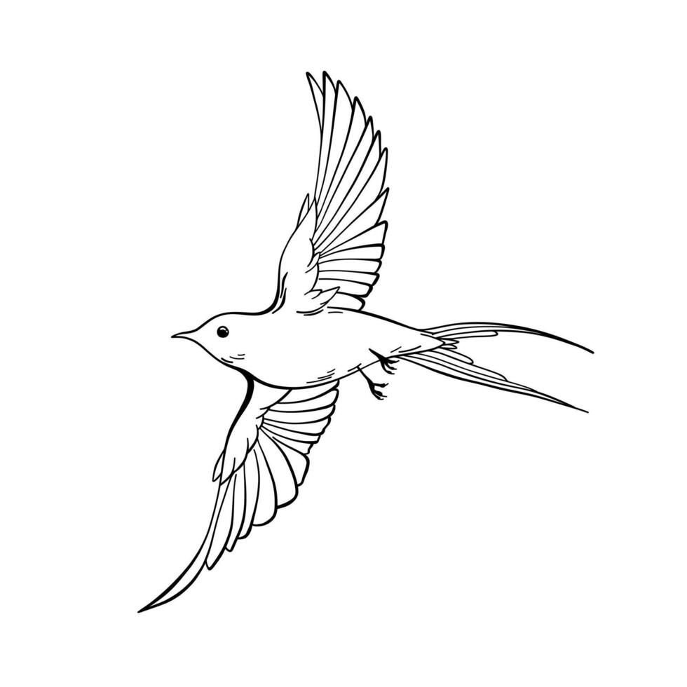 Clip art illustration silhouette of flying swallows, beautiful clip art collection of spring birds logo, outline hand drawn Sketch isolated on white background, freedom concept, nature theme vector