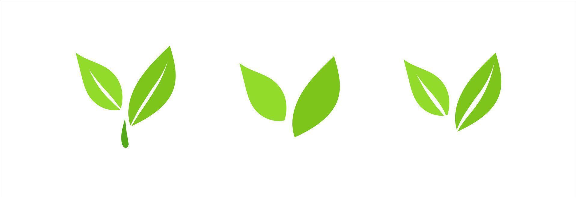 Leaf icons, ecology nature organic element, green leaves flat minimalism illustration, environment and eco friendly concept sign, clip art symbol for label, vegan, save energy and self care vector