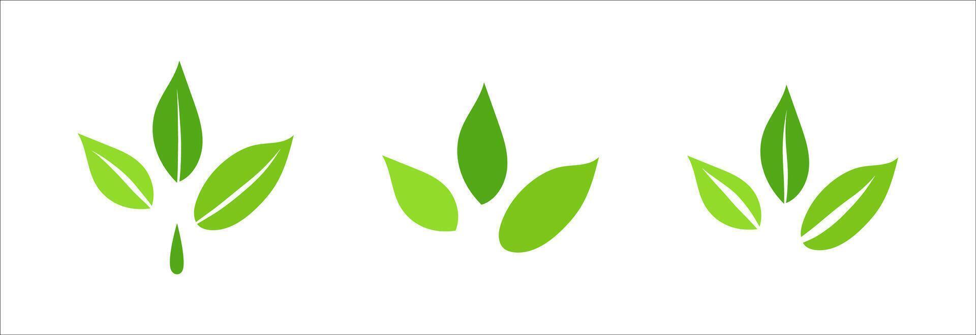 Ecology nature organic element, green leaves set of flat minimalism illustration, environment and eco friendly concept sign, clip art symbol for label, vegan, save energy and self care vector
