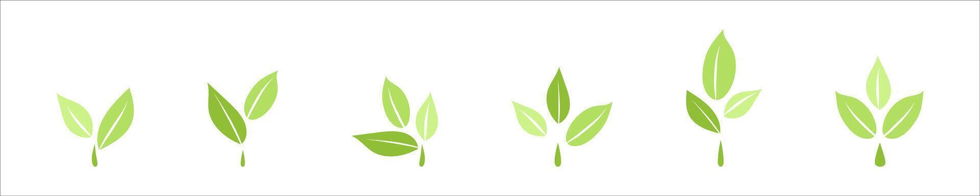 Eco symbols with green spring leaves logo, Simple flat style illustration collection, Ecology elements for eco friendly and bio logo, vegan concept vector