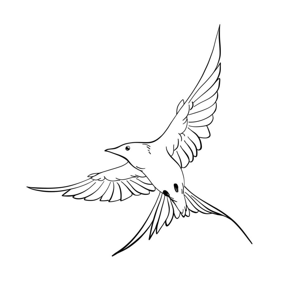 Line art illustration silhouette of elegant flying swallows, beautiful clip art collection of spring birds logo, outline hand drawn Sketch isolated on white background, freedom concept, nature theme vector