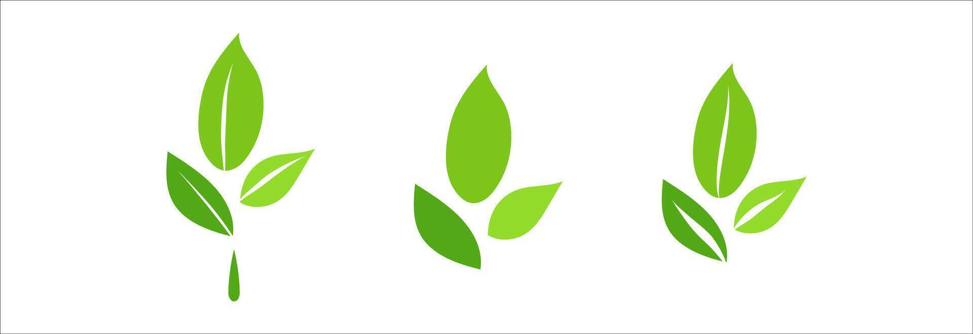 Green leaves icon herb, simple graphic pictogram illustration, eco friendly organic concept clip art, flat label element for logo, vegan, save energy and self care vector