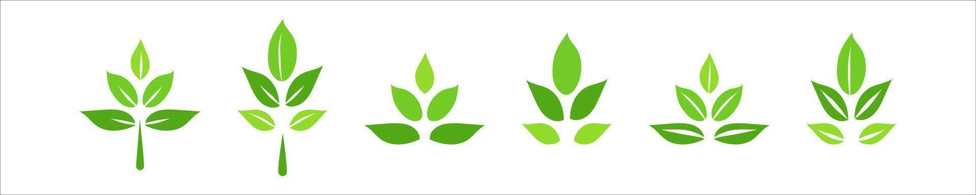Green herb set, simple graphic pictogram illustration, eco friendly organic concept leaf clip art, flat label element for logo, vegan, save energy and self care vector