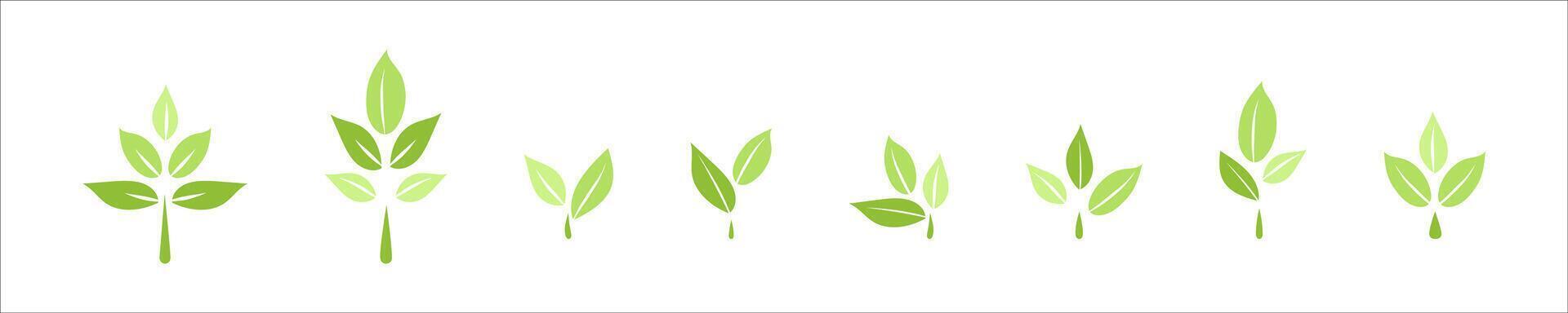 Multi Set of Leaf icons, ecology nature organic element, green leaves flat minimalism illustration, environment and eco friendly concept sign, clip art symbol for label, vegan, save energ, self care vector