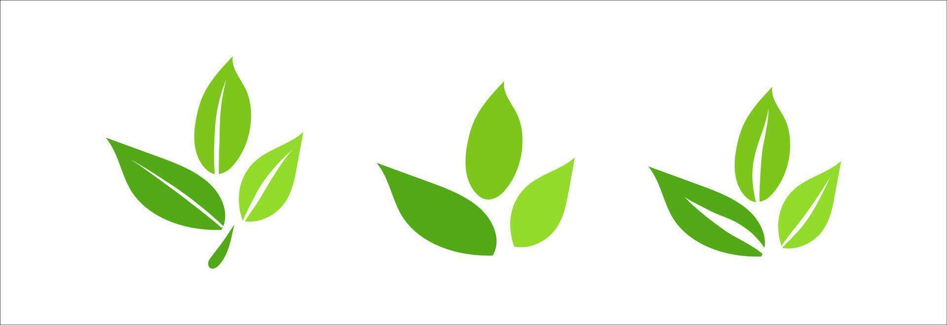 Leaf icon set, ecology nature organic element, green leaves flat minimalism illustration, environment and eco friendly concept sign, clip art symbol for label, vegan, save energy and self care vector