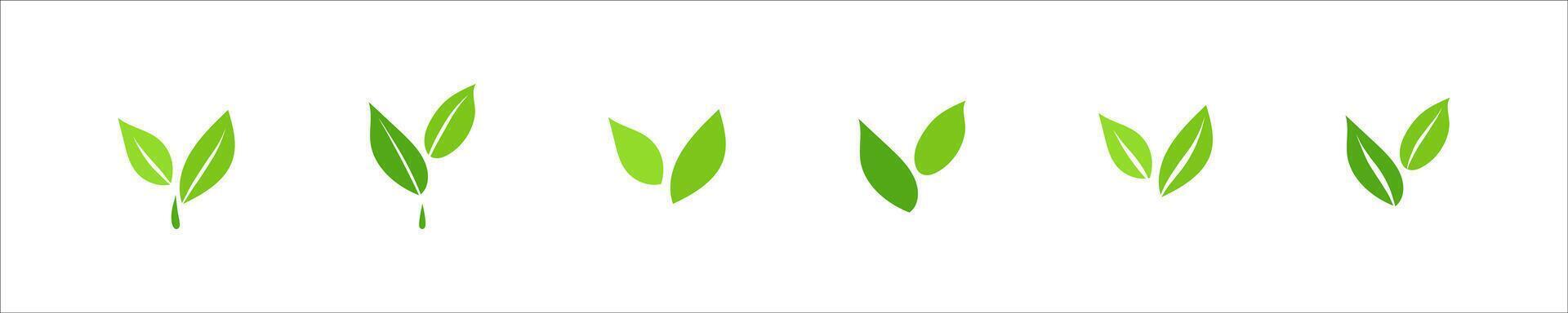 Eco symbols with green spring leaves, Simple flat style illustration collection, Ecology elements for eco friendly and bio logo, vegan concept vector