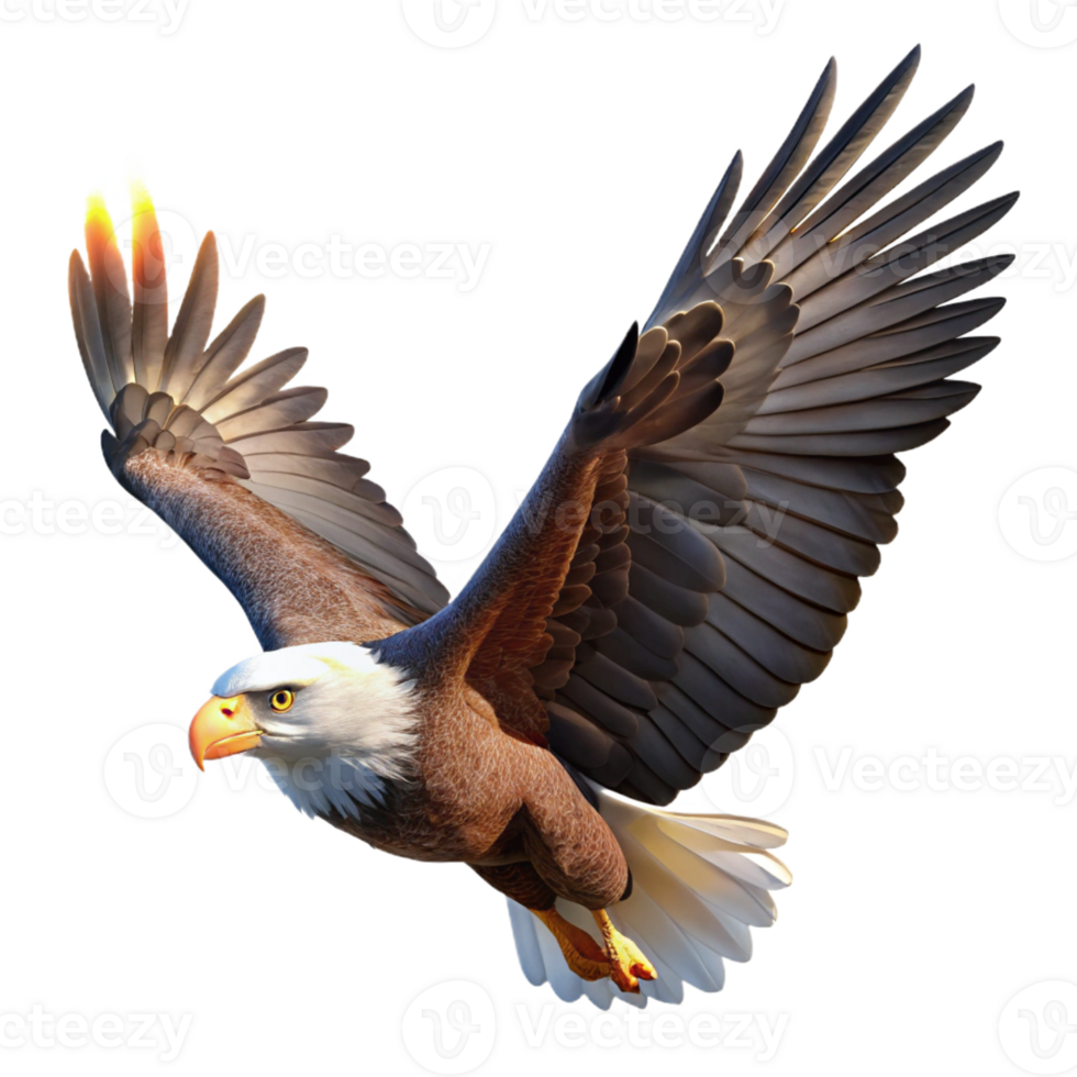 beautiful minimalist A powerful bald eagle soaring through the sky, illuminated by the bright midday sun, in a realistic wildlife photography style premium png