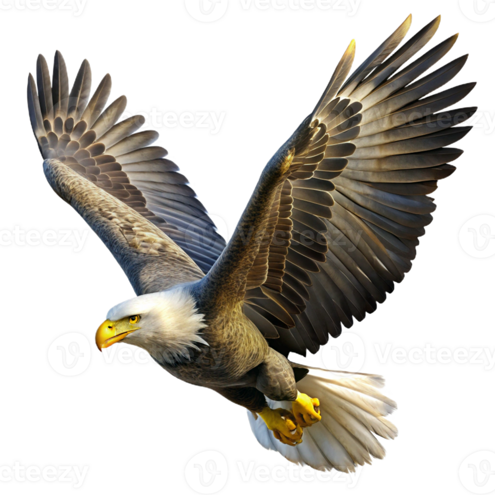 serene traditional A powerful bald eagle soaring through the sky, illuminated by the bright midday sun, in a realistic wildlife photography style genuine png
