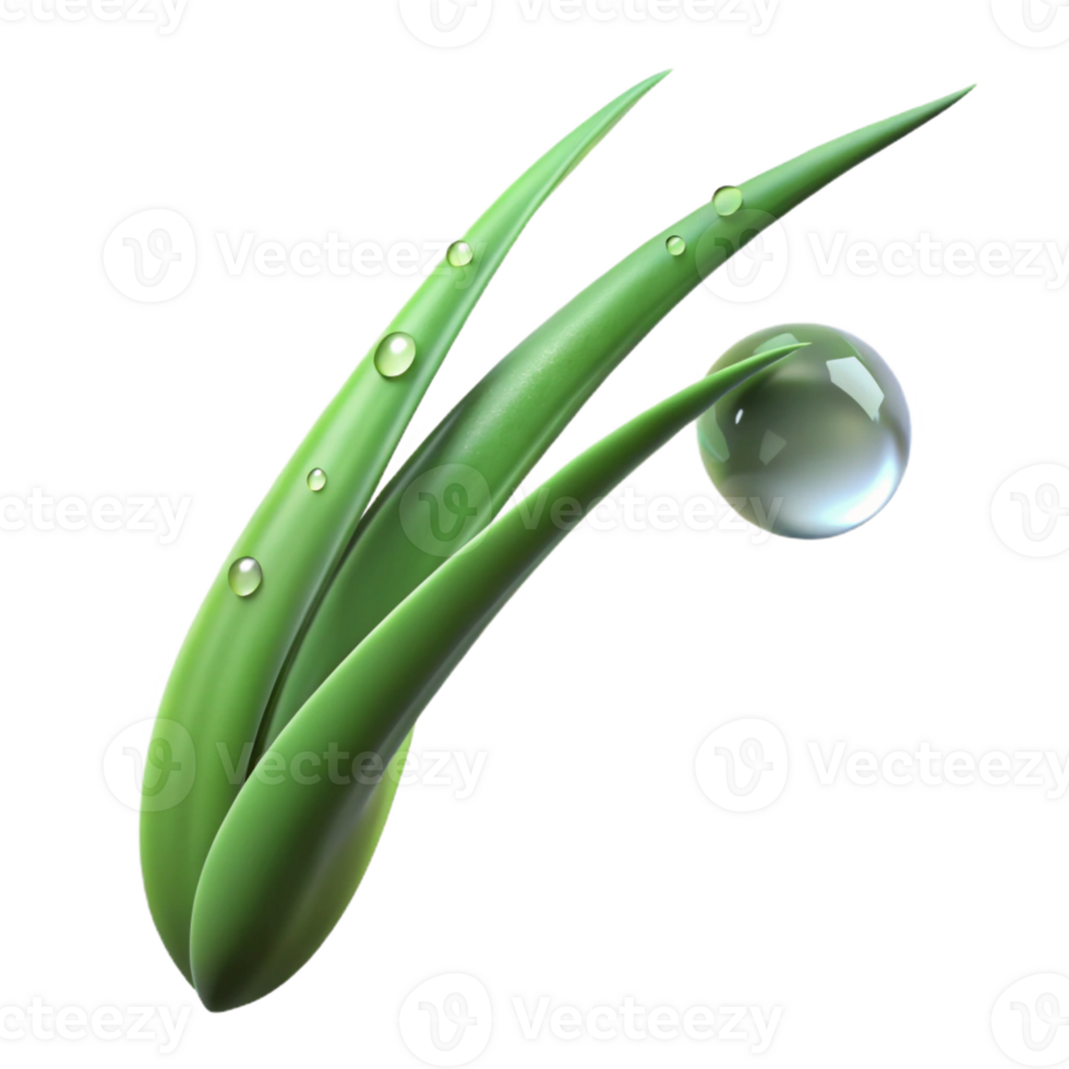 vibrant rustic A single blade of grass with dew drops, macro photography, fresh lighting high resolution png