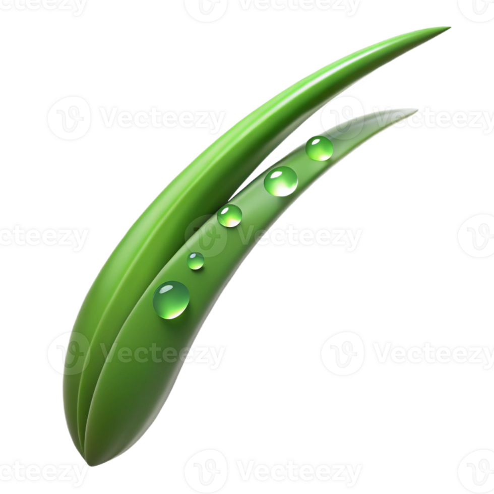 magnificent abstract A single blade of grass with dew drops, macro photography, fresh lighting original png