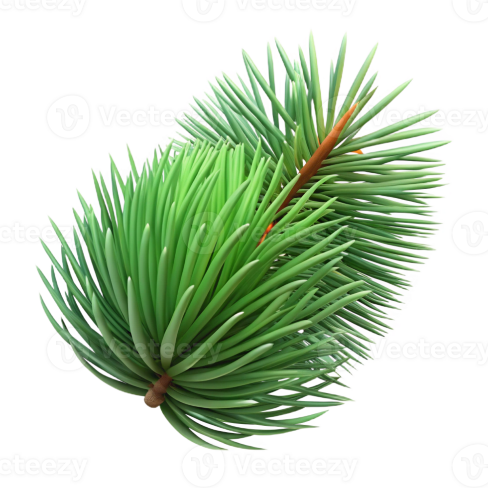 impressive minimalist A close-up of a pine needle, textured surface, realistic style 4K png