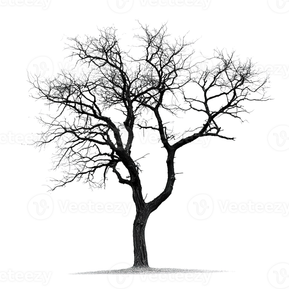 A singular leafless tree stands tall against a solid black backdrop png