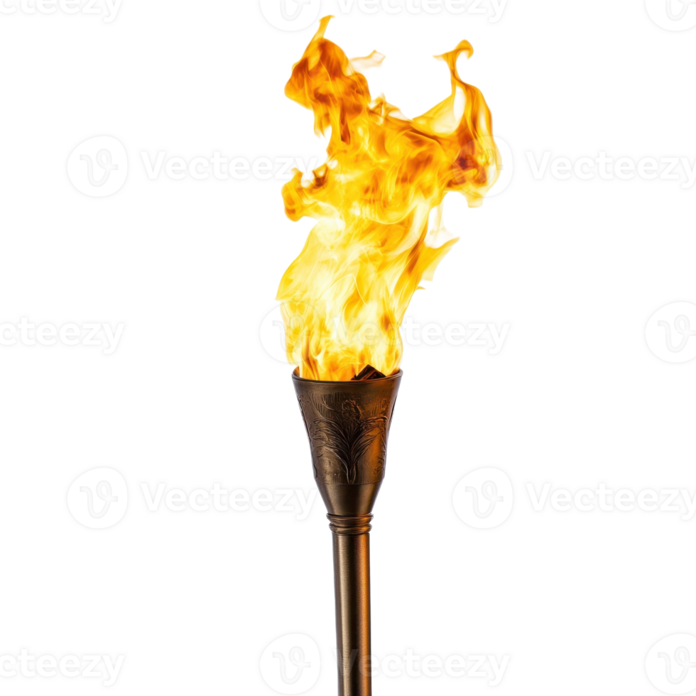 Burning Torch Warmth and Light on transparent background. png