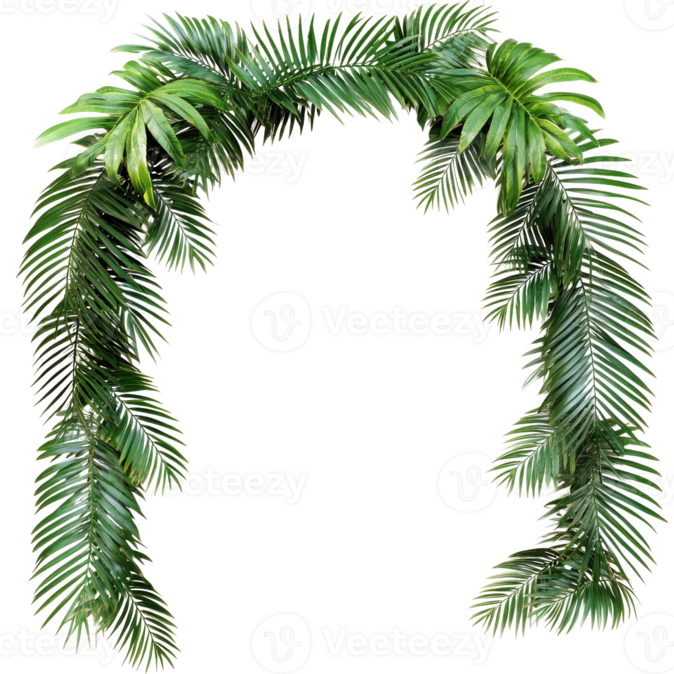 Palm Branches Arch Frame on transparent background. png