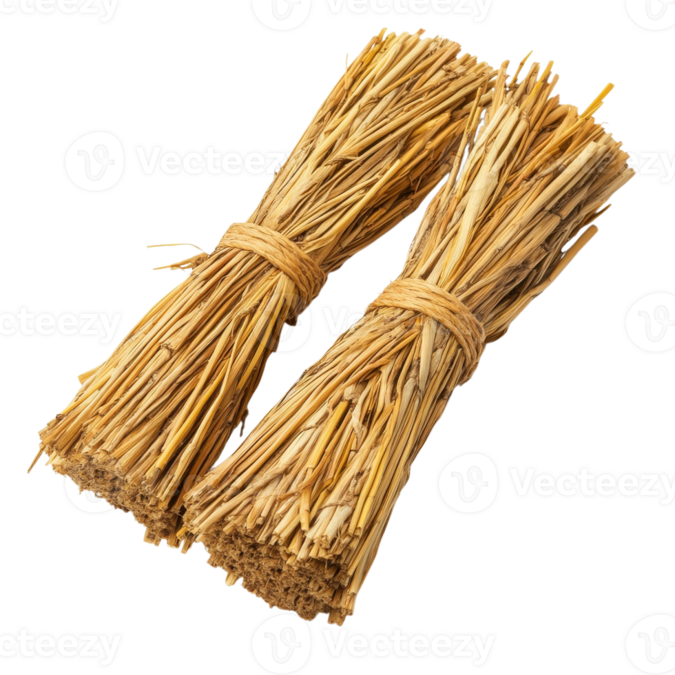 Rustic Charm Straw Bundles on transparent background. png
