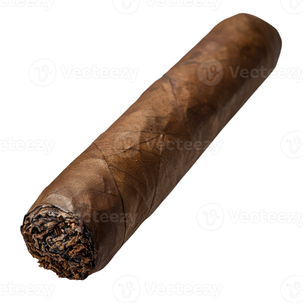 Luxury Cigar Rich Texture Aroma on transparent Background. png