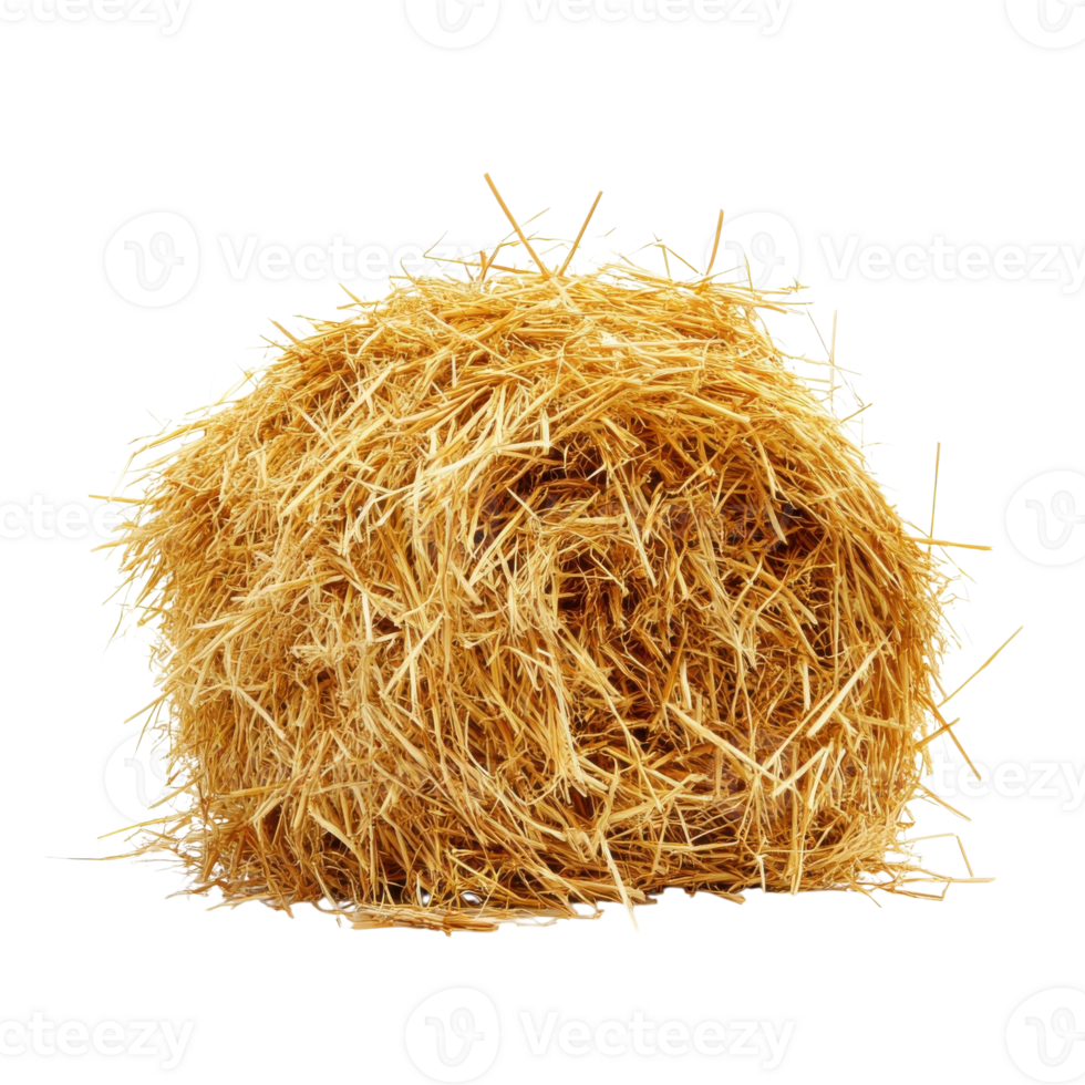 Golden Hay Mound Rustic Autumn Scene on transparent Background. png