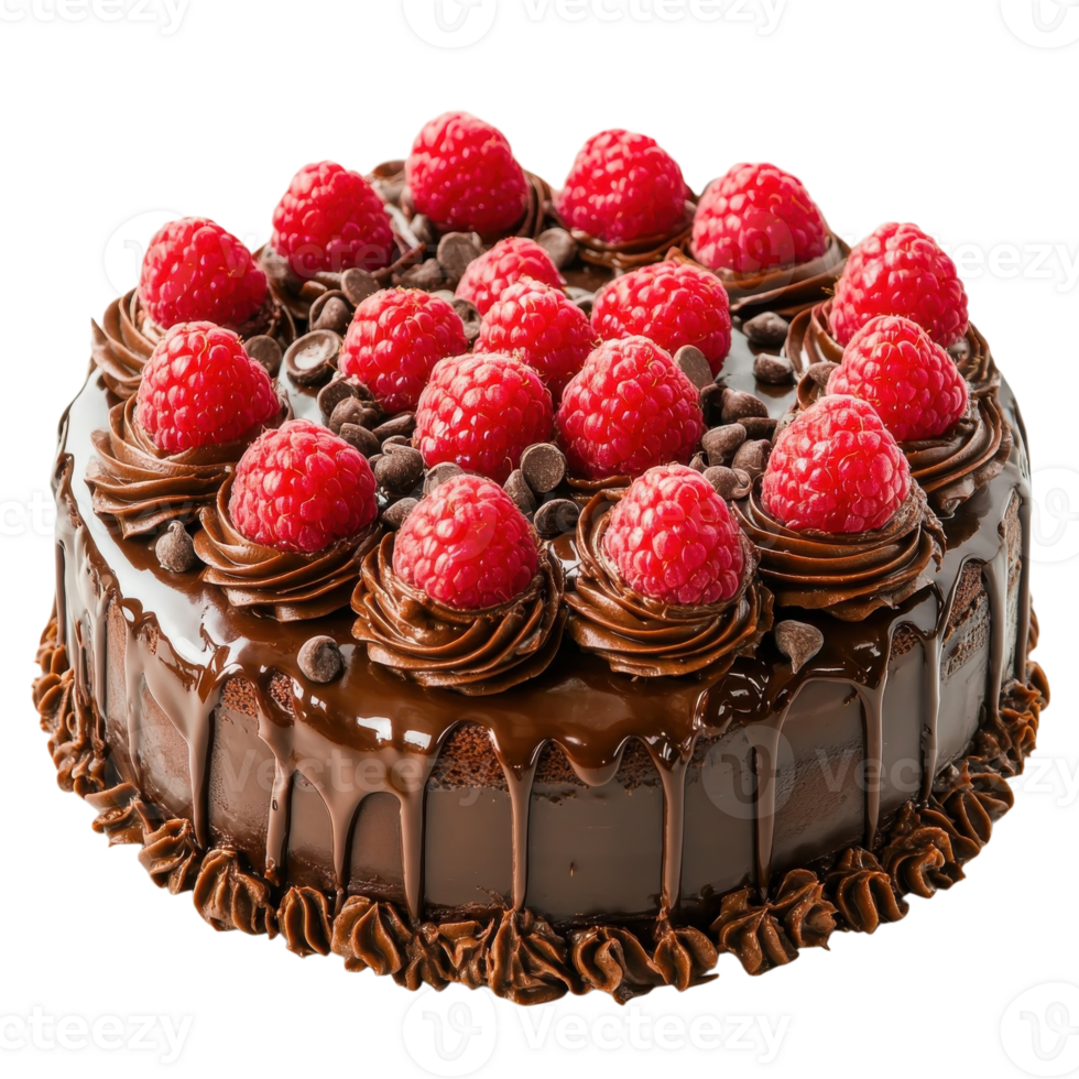 Delicious Chocolate Cake with Raspberries on transparent Background. png