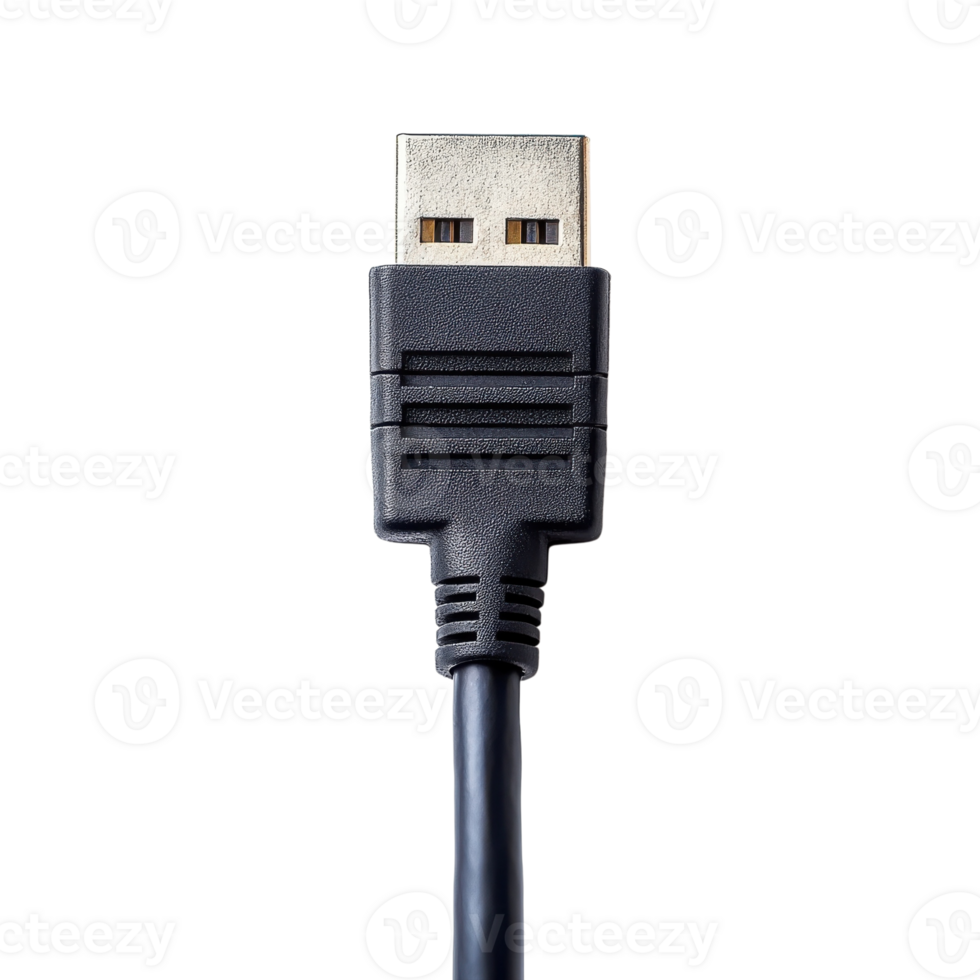 Ethernet Cable Network Connectivity on transparent Background. png