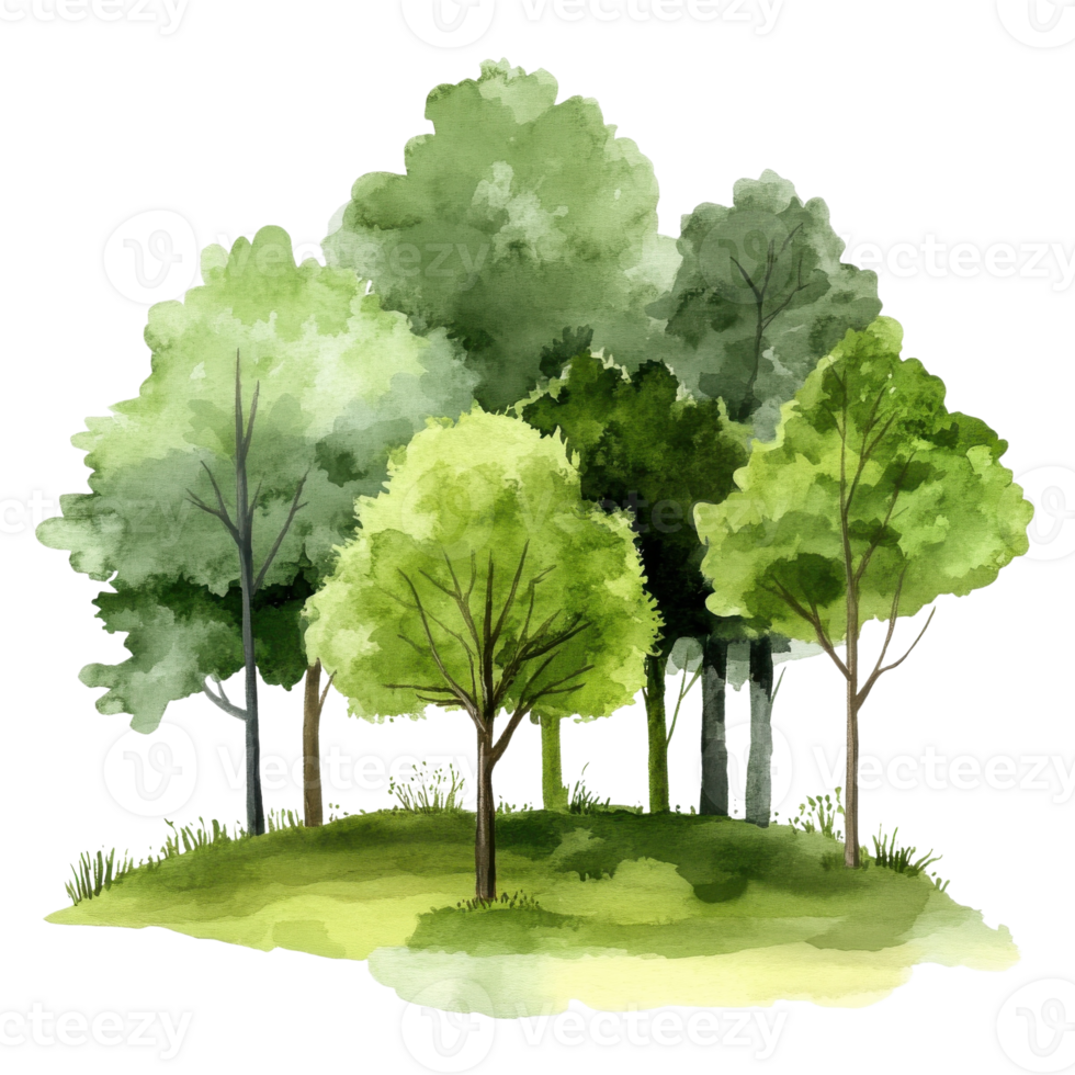 Green Trees Summer Landscape Illustration on transparent Background. png