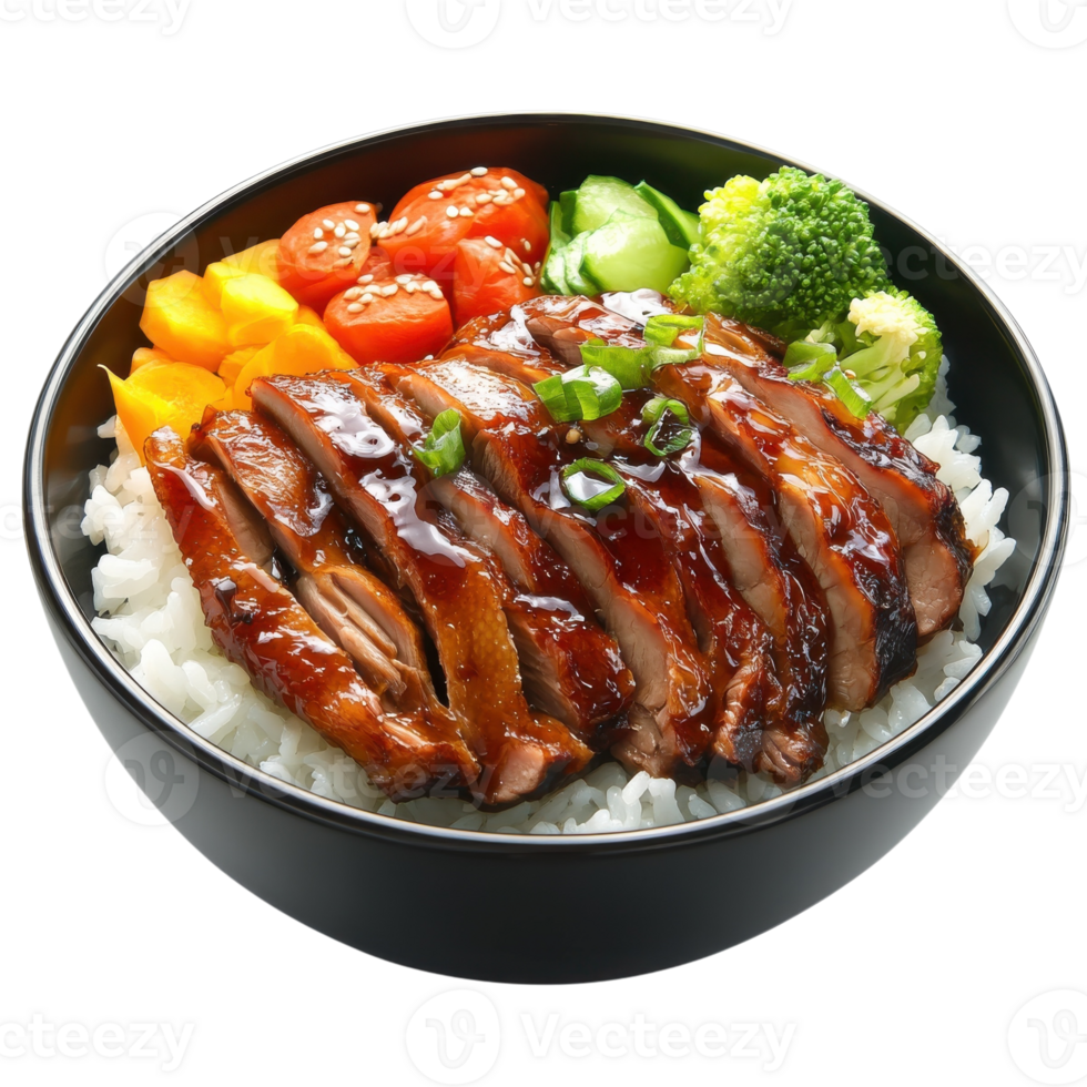 Delicious Peking Duck with Rice on transparent Background. png