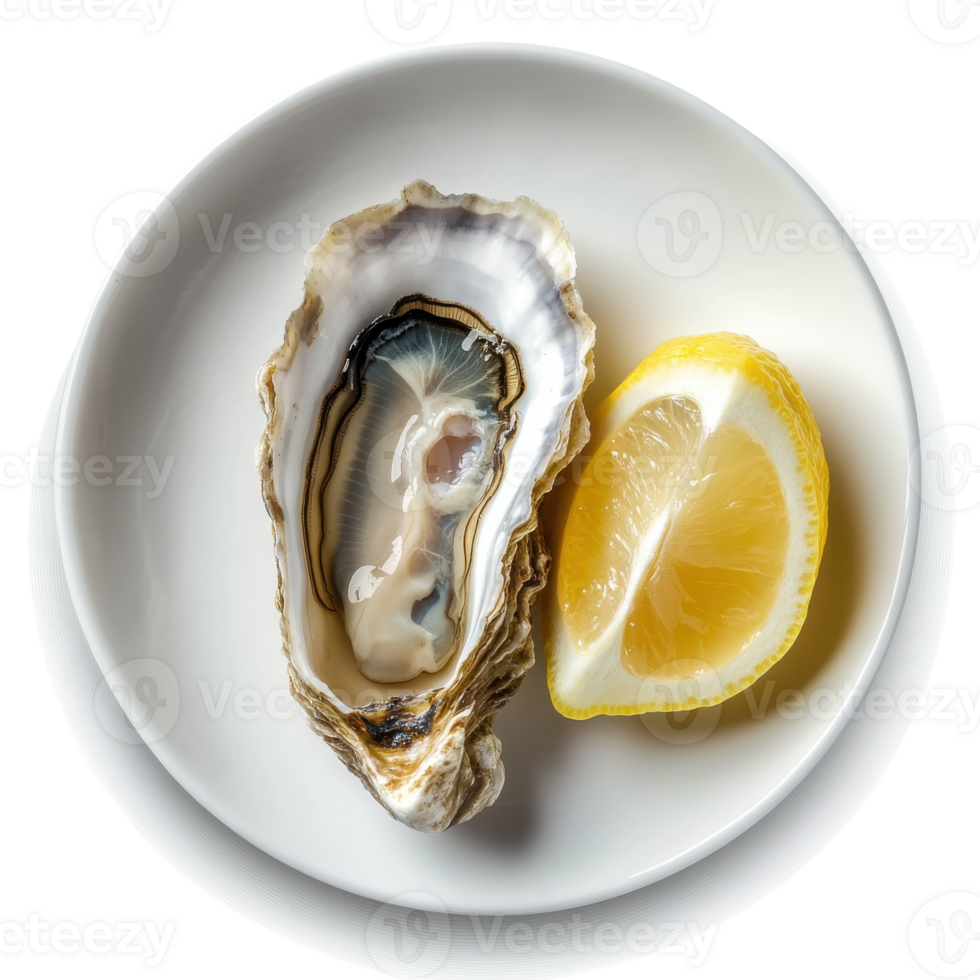 Fresh Oyster with Lemon Garnish on transparent Background. png