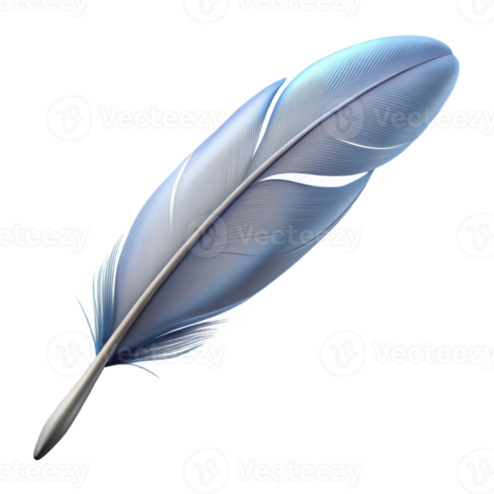 impressive traditional A single feather floating in the air, delicate barbs, soft, diffused light exclusive png