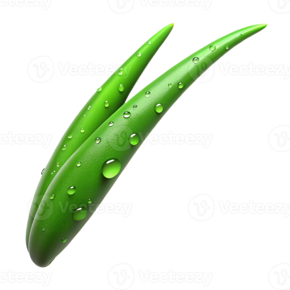 beautiful contemporary A single blade of grass covered in dew, macro photography, vibrant green, soft morning light premium png