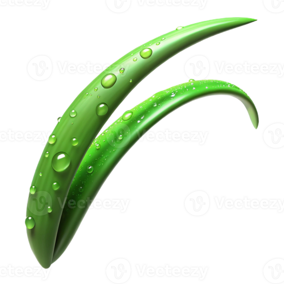 wonderful vintage A single blade of grass covered in dew, macro photography, vibrant green, soft morning light 4K png
