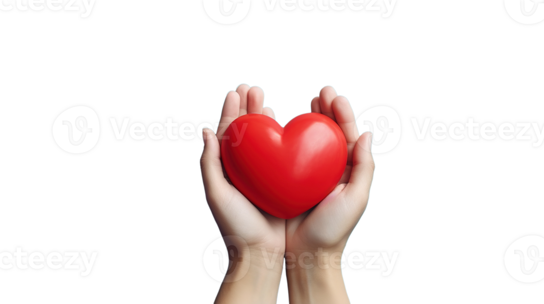 Red Heart Held by Hands on Transparent png