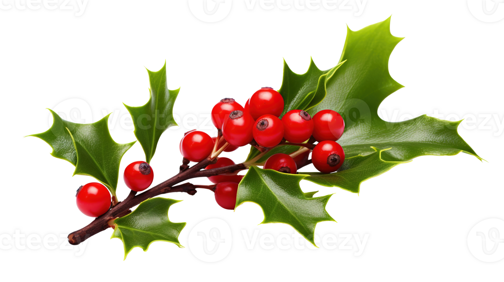 Christmas Mistletoe Isolated on Transparent png