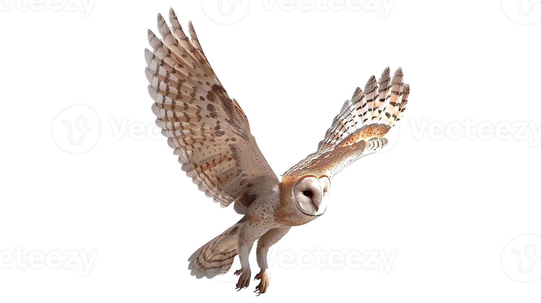 Bird Owl Flying in the Sky on Transparent Background png