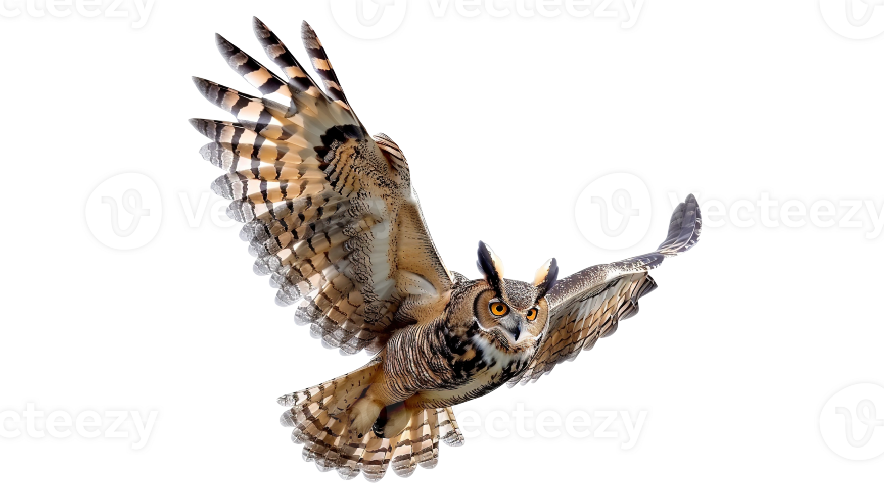Flying Own on Transparent Background Animal png